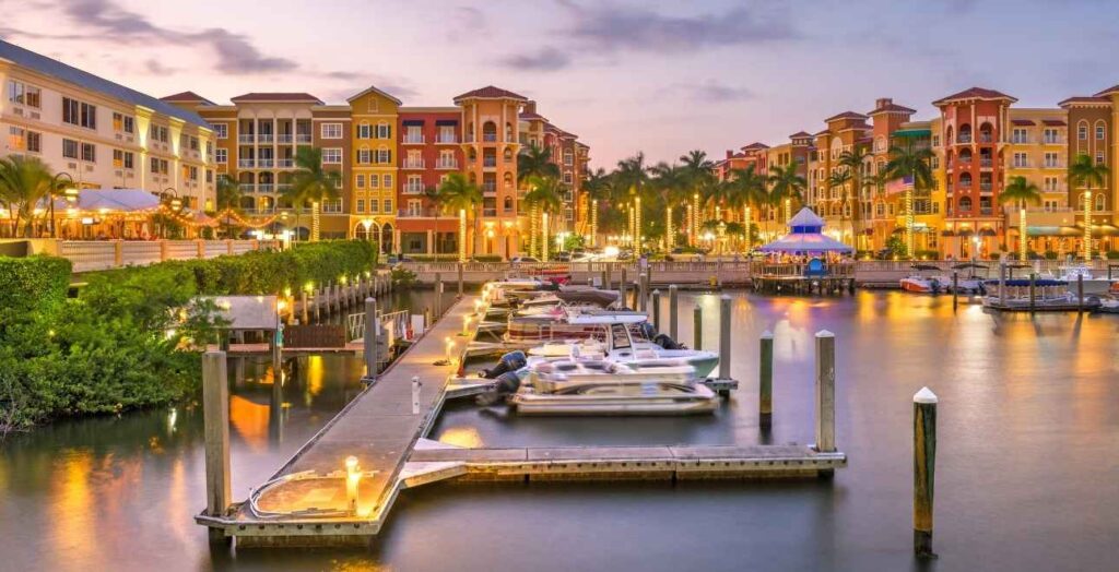 Top Concierge Medicine Practices In Tampa Bay (2025) 7 Concierge Medicine Tampa, Concierge Doctor In Tampa, Concierge Medical Practices Tampa Bay, South Tampa Doctor, Holistic Family Medicine